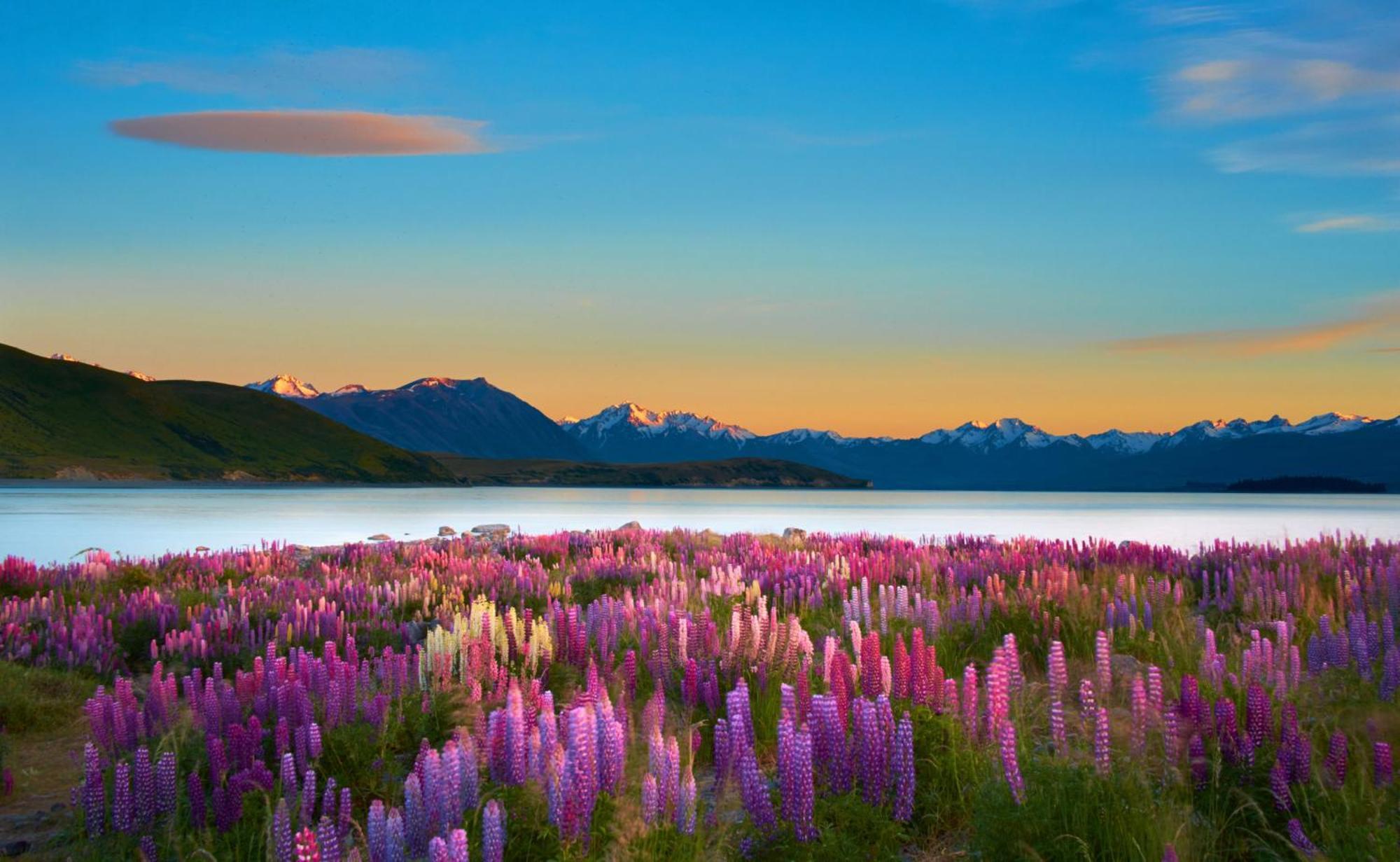 Lake Views At Antler Lodge Lake Tekapo Luaran gambar